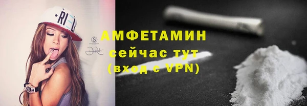 прущие грибы Новодвинск
