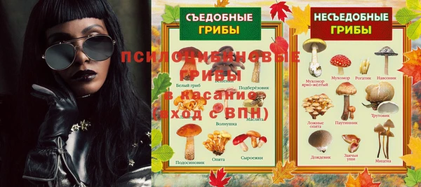сатива Весьегонск